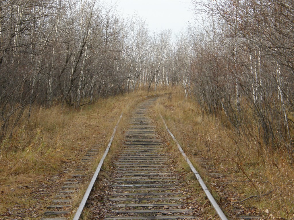 Railroad Tracks, overgrown